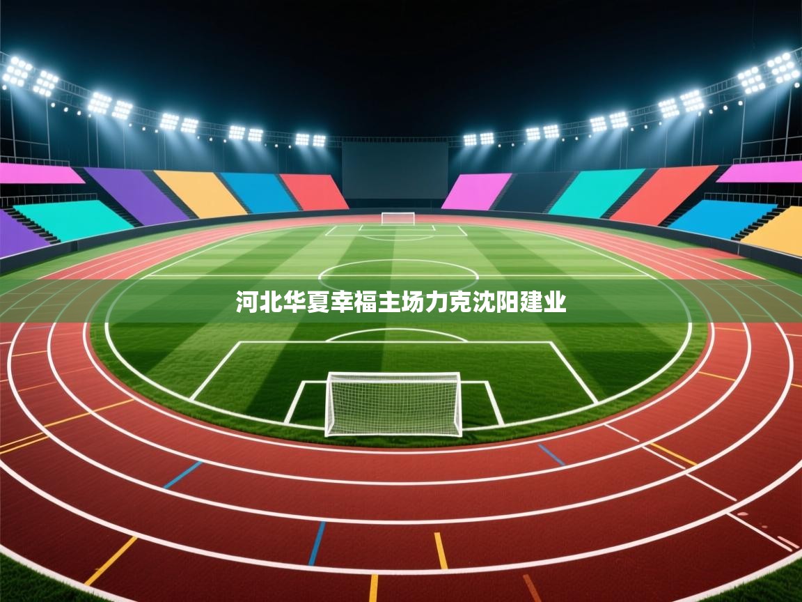 河北华夏幸福主场力克沈阳建业 第1张